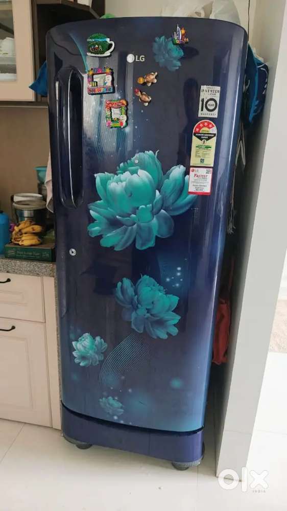 235 lit , 4 Star LG smart inverter