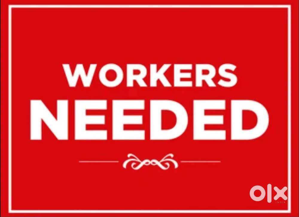 Daily based salary need a helper for hotel