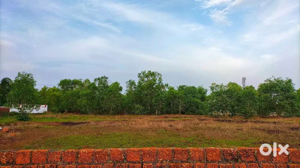 Selling 50 cent at payyannur korom