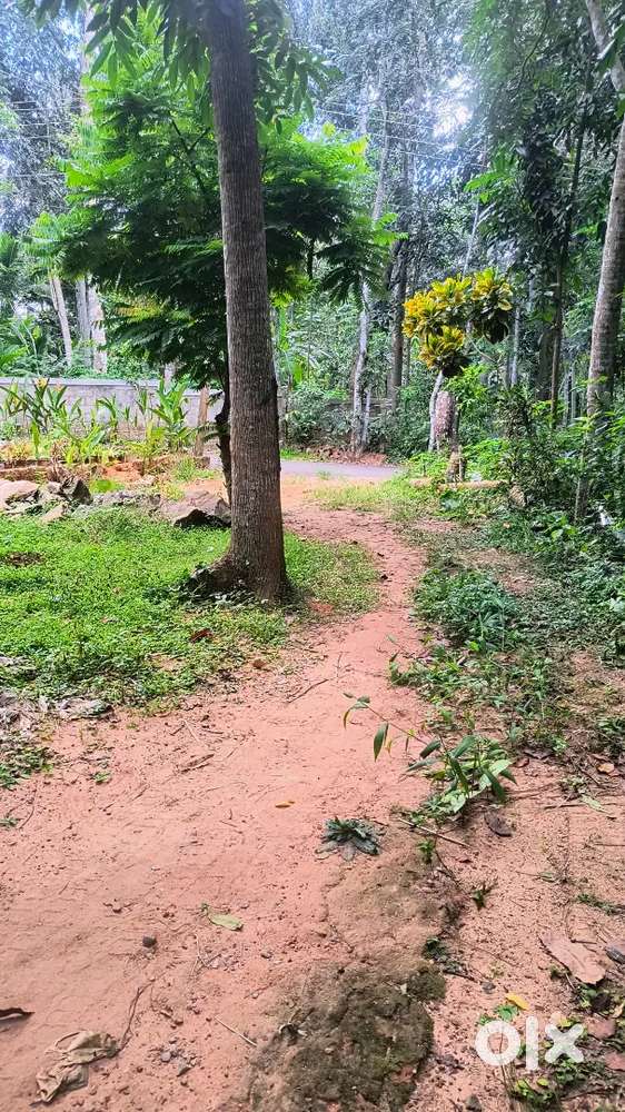 Plot for sale near Neyyattinkara, 5 Cent, 6 Cent or 13 Cent