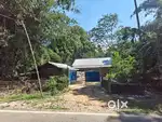 2 Bigha Land for sale near Kachumari Cariali Moran Sunari Road