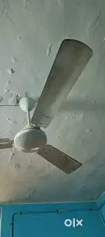 Havells Fans,Usha,polar fans