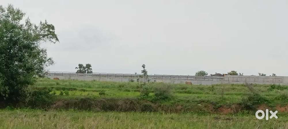 10guntas sell  agriculture land price negotiable200 mts  4 line road