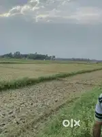 Land on D.h road (dostipur Diamond harbour)