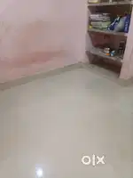 Need room mate