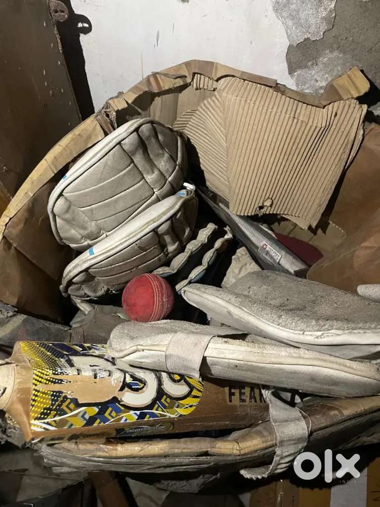 Cricket full set with dues bat