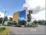 Back Office Executive