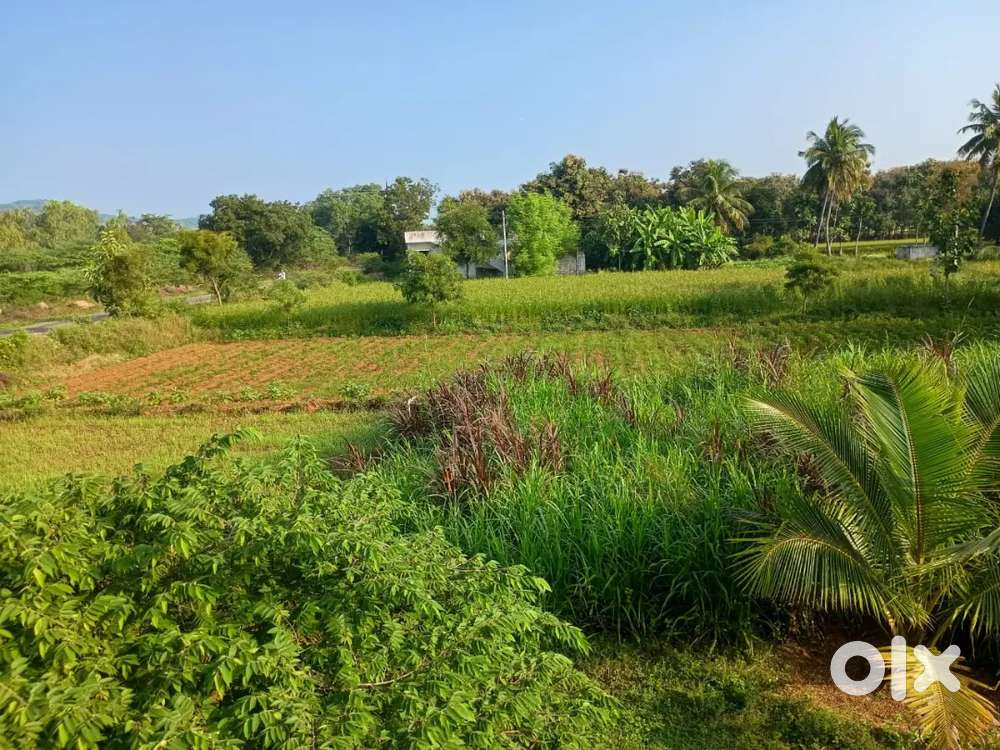 Guduvangery plot sales 2100 sqft 33 lack