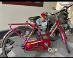 LADIES BYCYCLE