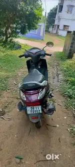 Cynus alpha