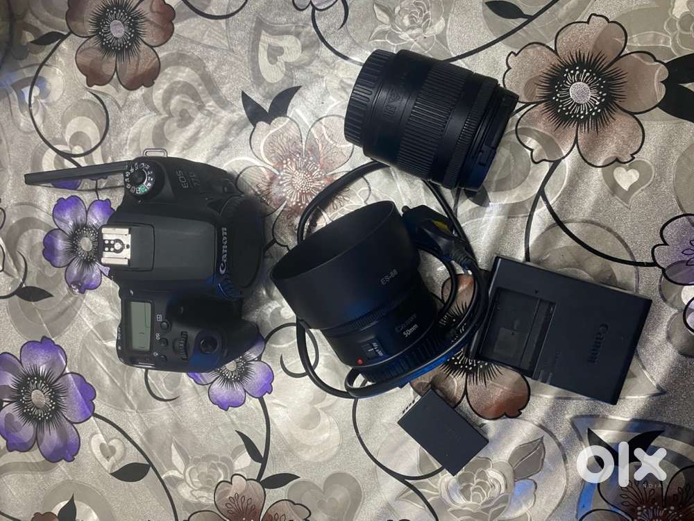 Canon 77D and 50mm lens
