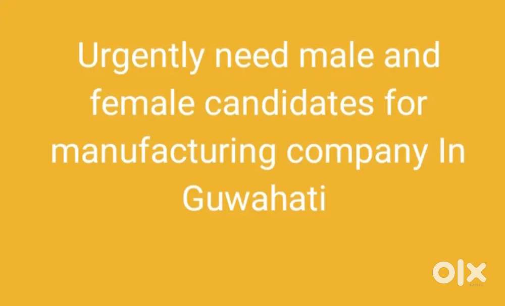 Manufacturing company