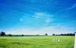 Best land cheap rate