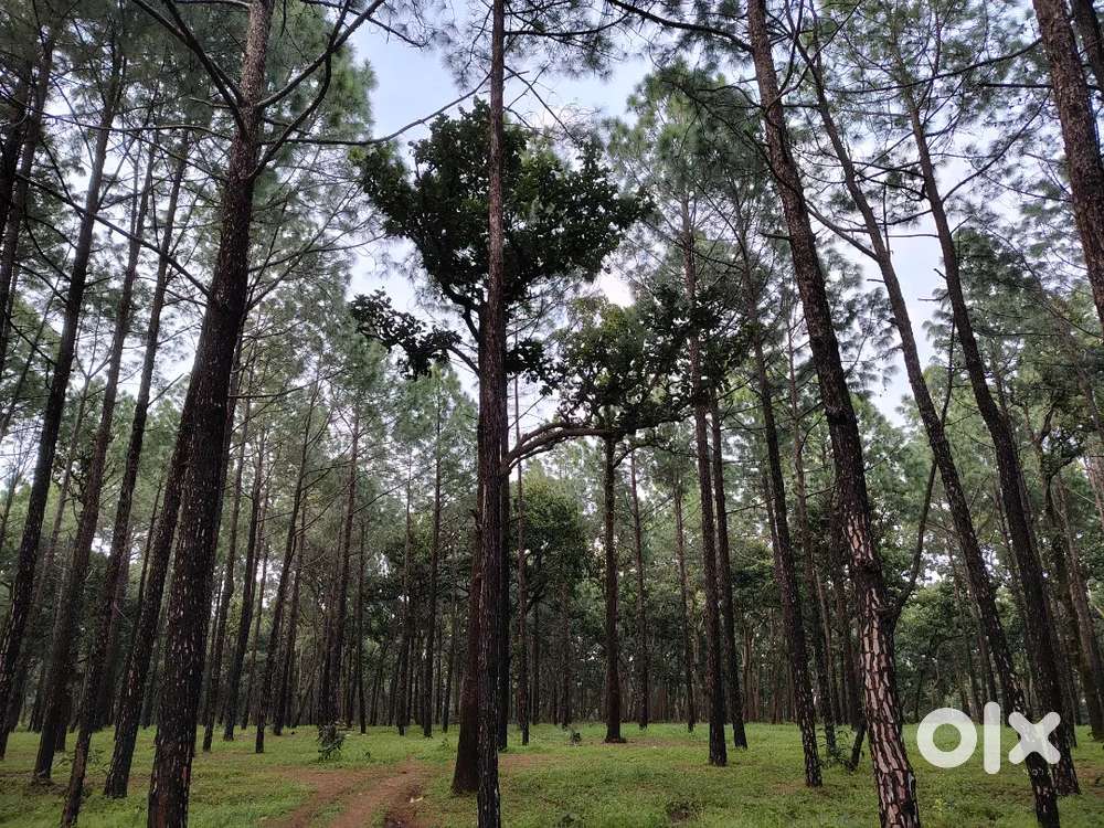 ST, CNT and General plots