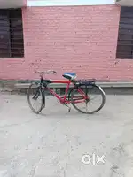 Mediums size bycycle