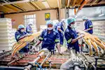 NEEDED FRESHERS FOR MACHINE OPERATOR
