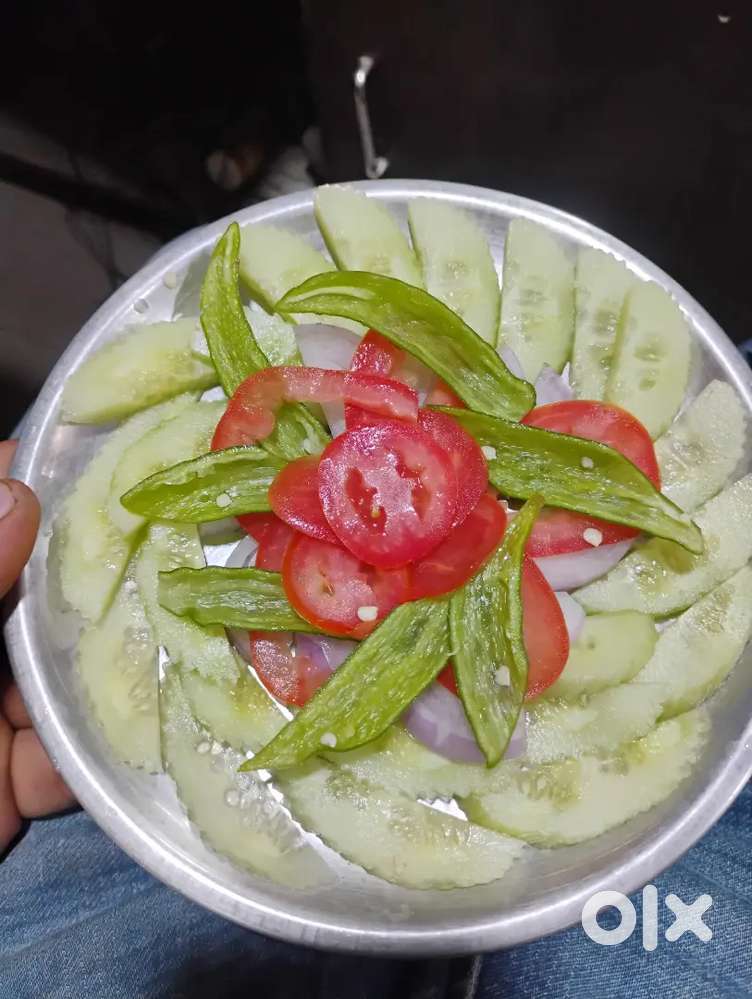 Cheif  cook urgent