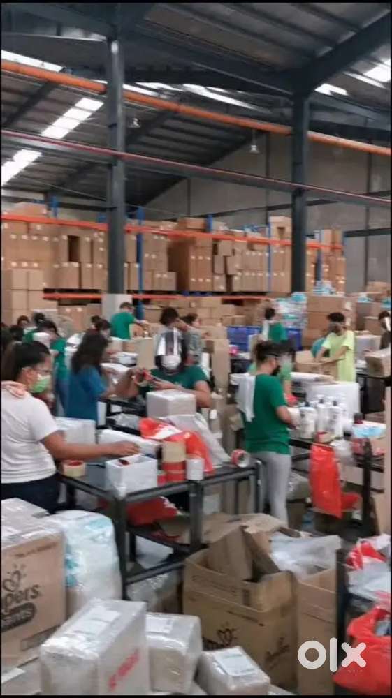 Picker packer - padur - fareena