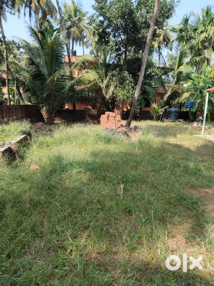20 cents land for sale near thokottu contact