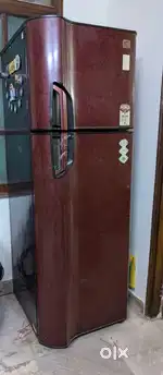 Godrej double door