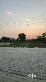Basant Avn Ex 11 plot sale