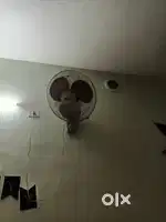 Fan number 5