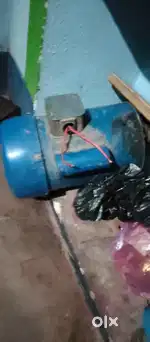 Motor patta wala