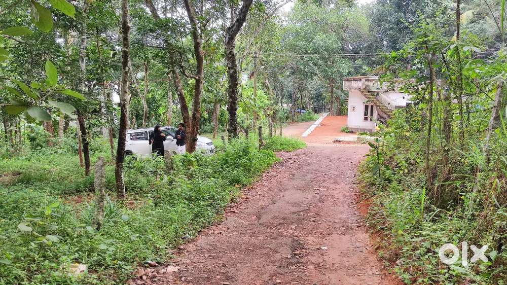 Residential Land for Sale in Karunthalakode, Nilamel  Full/Plot-wise