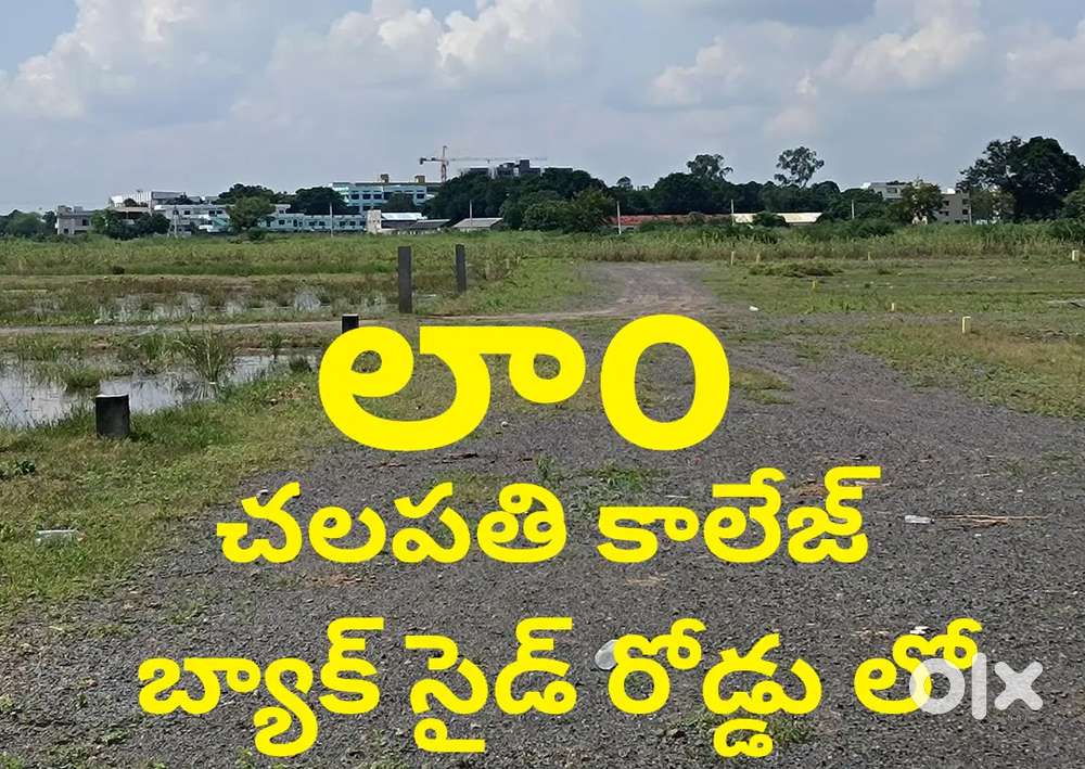 1)305 గజాలు chalapati college ఏరియా కి దగ్గరగా ప్లాట్ సేల్