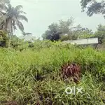 6 cents plot for sale Karikkakom Vayanashalla