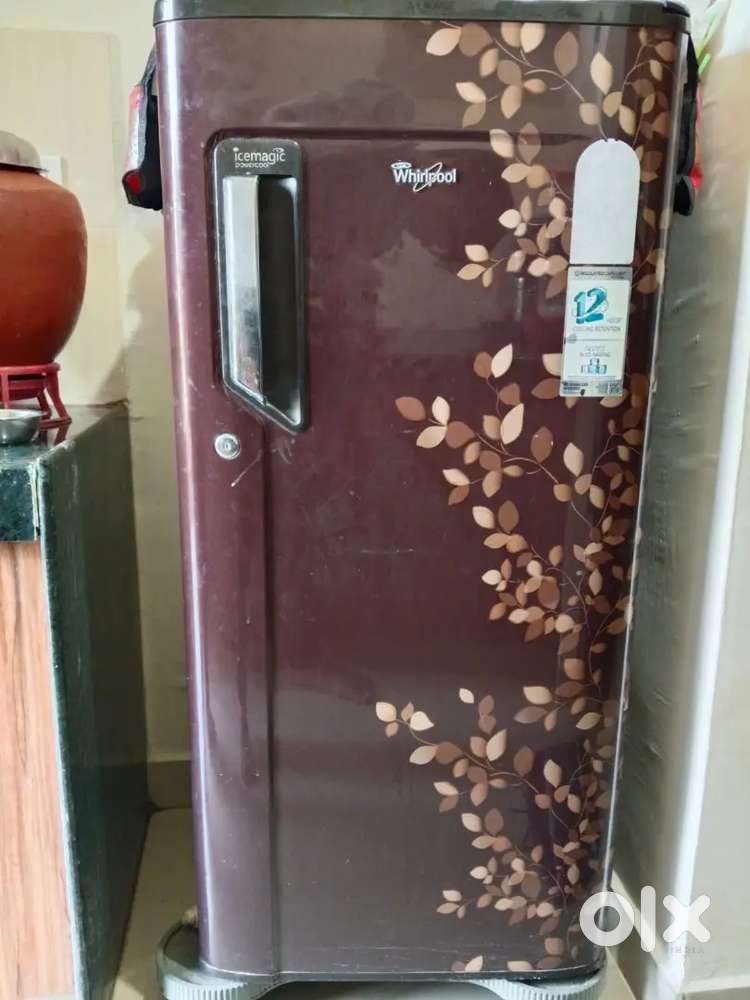 Refrigerator single door