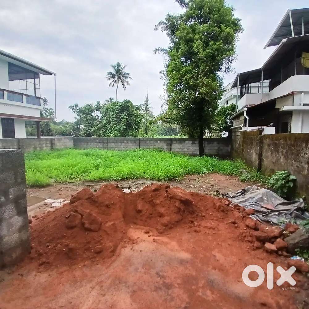 Aluva kadungalloor,4.600cent,orginal land
