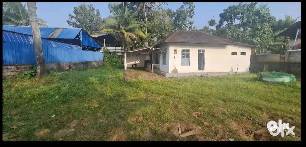 4bhk House, 30cents Kottayam near LULU mall Kodimatha.
