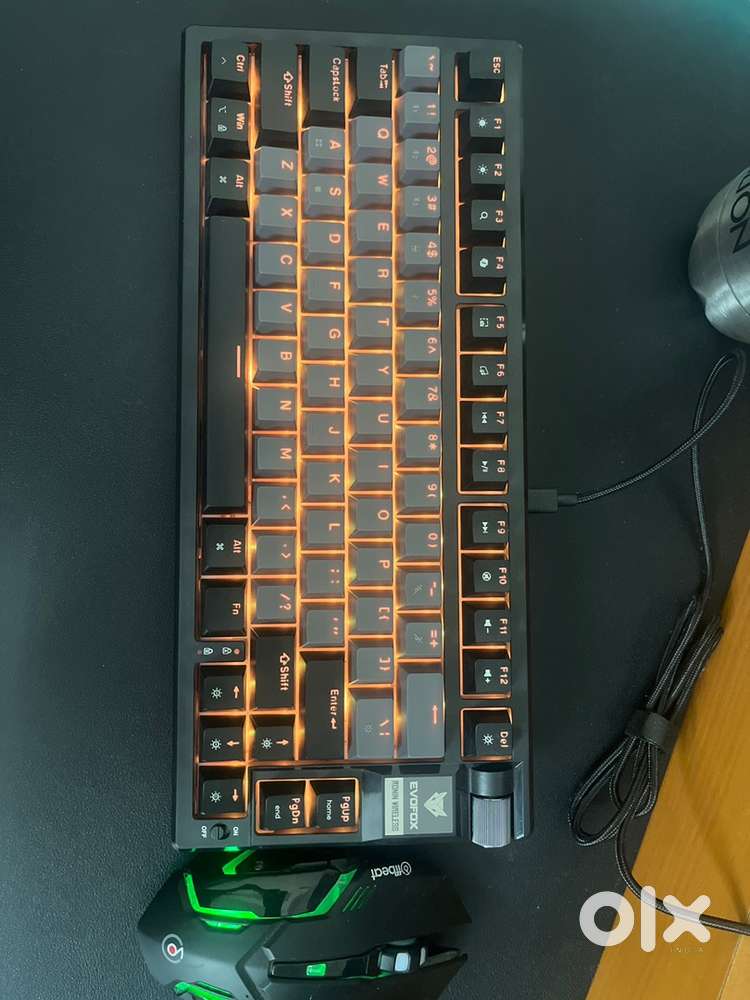 Mechanical Keyboard and Mouse Combo