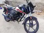 Brand new Honda Livo, 110 CC