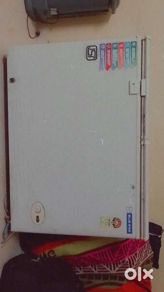 Blue star deep freezer