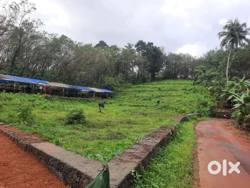 Land for sale in a prime location