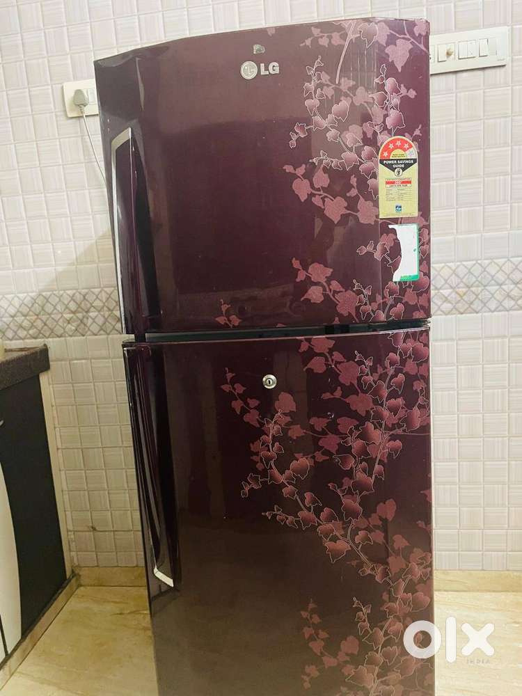 240 Liter, LG Refrigerator
