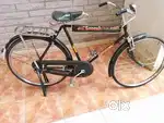 Used Adult bicycle
