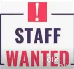 Male  - Office staff