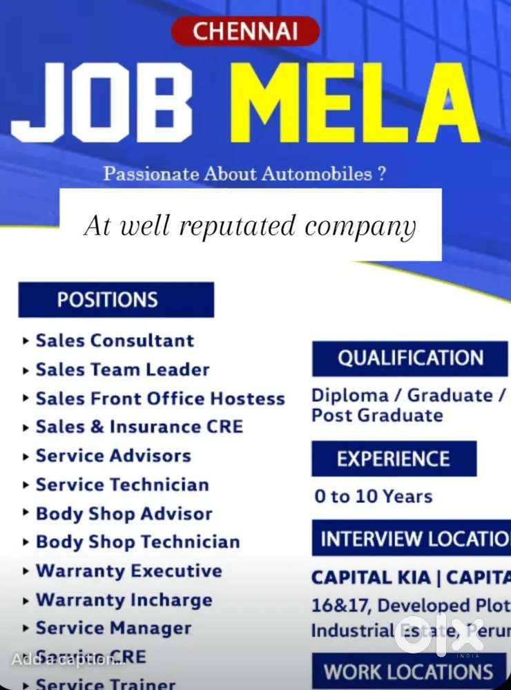 JOB MELA FOR GIRLS IN BACK OFFICE