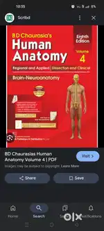 Anatomy book part 4