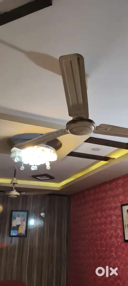 20 feetroad, 2boars, generator, gvmcwater