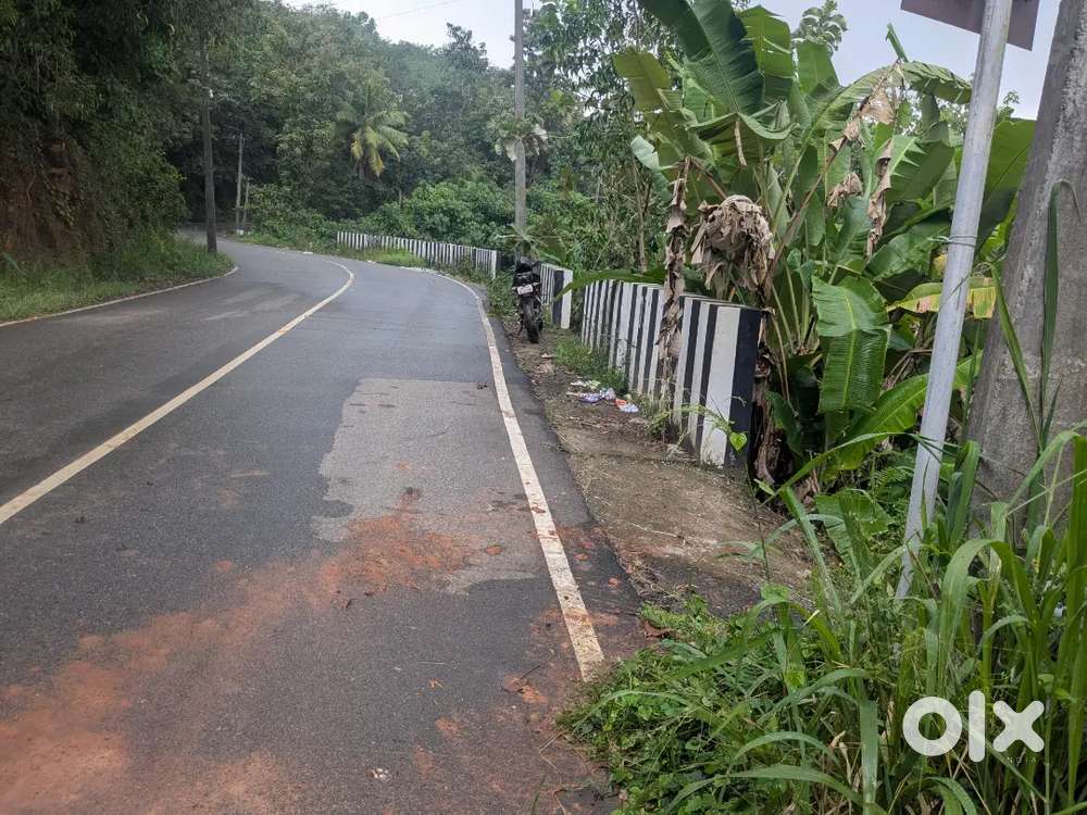 6 cent plot for sale ( lorry plot)