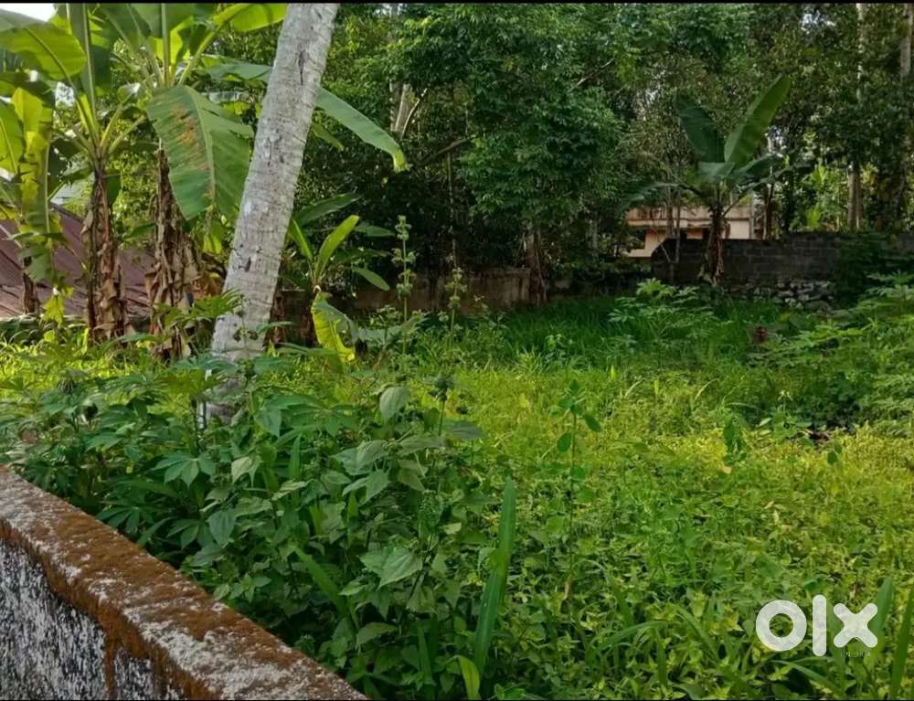6 Cents plot for sale at pullanivila