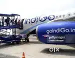 Urgent requirements for ground staff job in Indigo airline