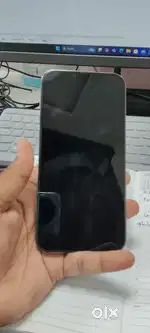 13 pro max