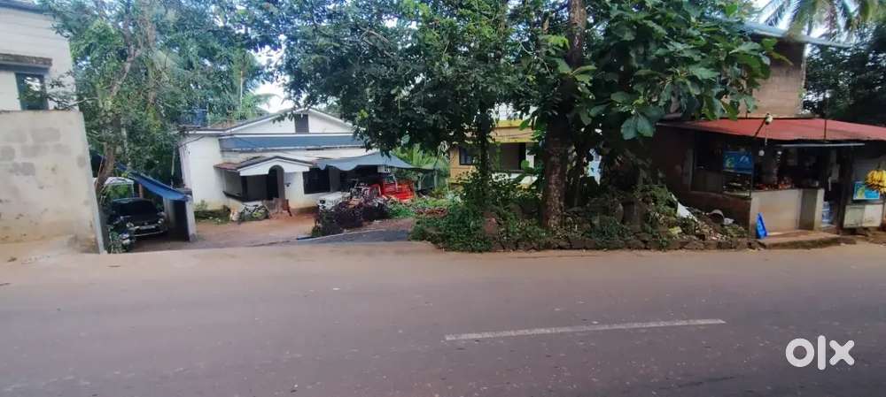 Hose for rent 3 bed rooms 3 bathroom