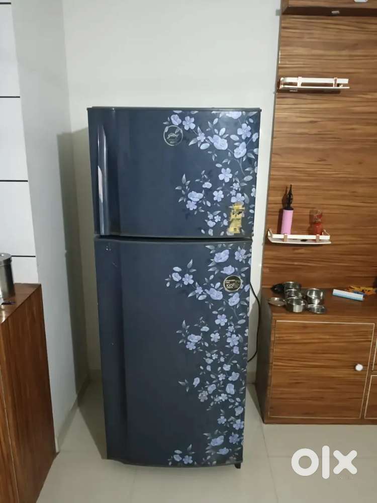 Godrej double door