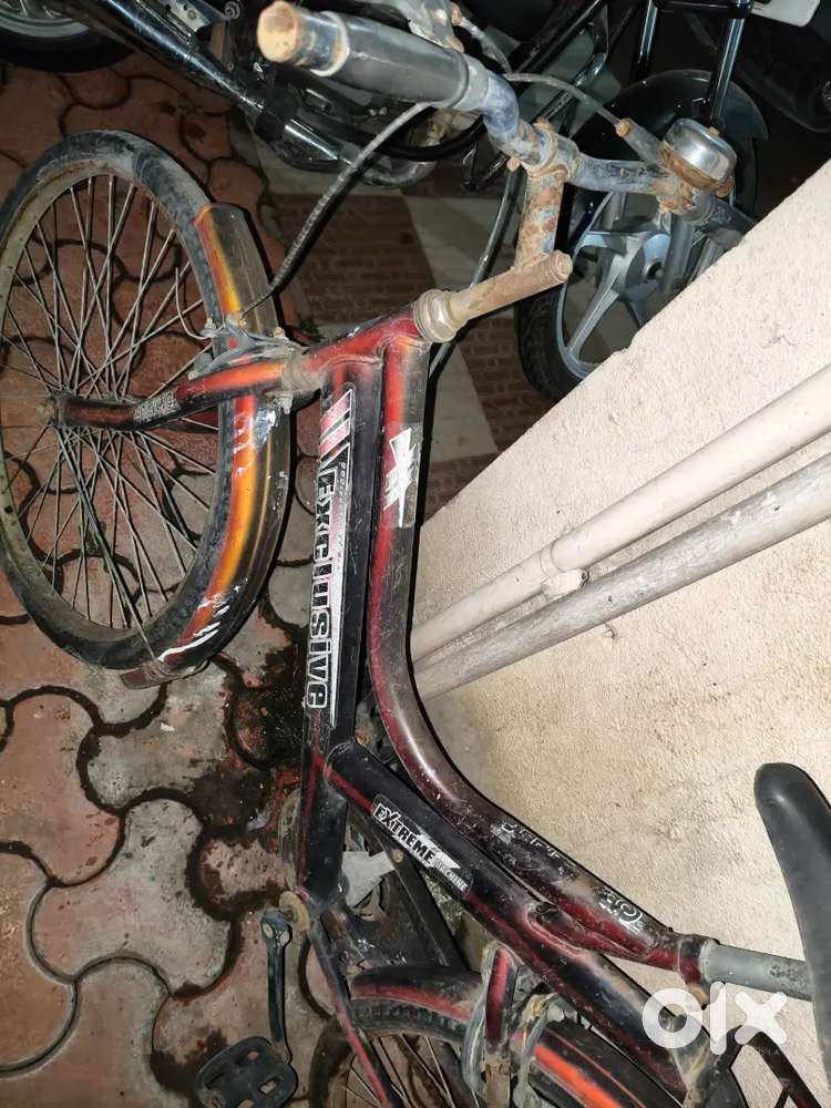Exclusive cycle